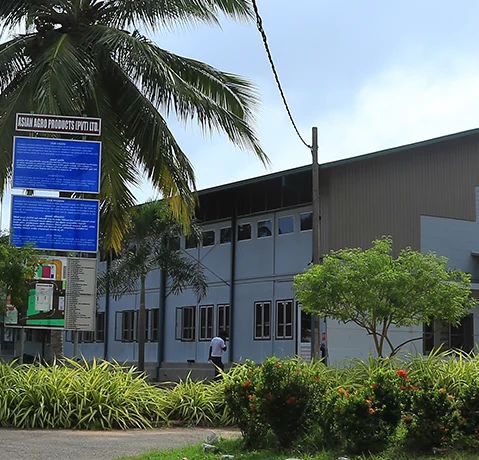Asian Agro Products factory in Kochchikade, Sri Lanka